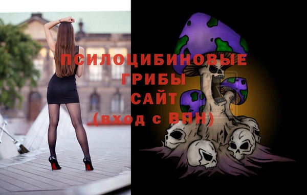 прущие грибы Балабаново