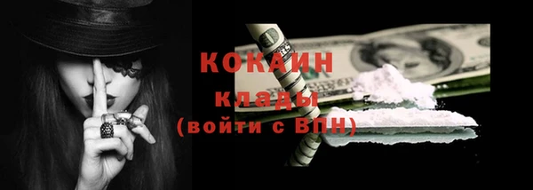 прущие грибы Балабаново