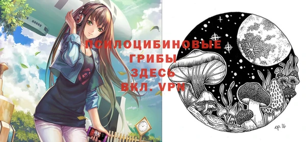 прущие грибы Балабаново