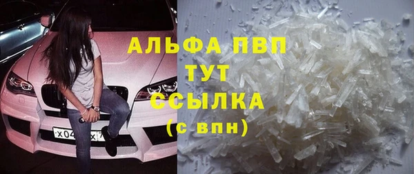 прущие грибы Балабаново